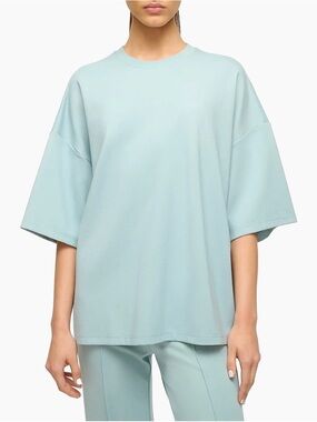 STAUD Oversized Capsule Tee in Mist